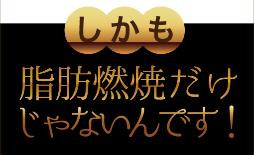 しかも脂肪燃焼だけじゃないんです！