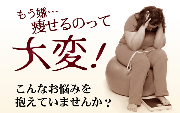 もう嫌･･･痩せるのって大変！こんなお悩みを抱えていませんか？